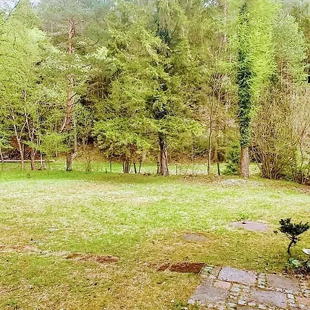 Wald & Bach
