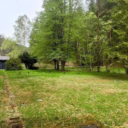 Wald & Bach